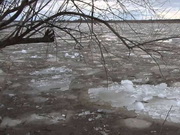 ����������� �������� ���������� �������� ��������