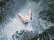 ������� ����������� �� ������� ������� � ����� ��������