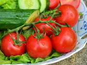 ������ � �������� �������� ���������� � ����������