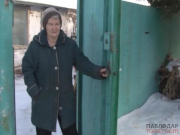 ������ ���� ������ ����?