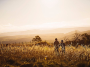 ��� ���������� ������� ������� � �������-������������� �������