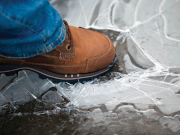 ��������� �������� ���������� �� �������