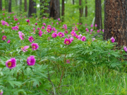 8 ������� ������� � ���������� �� ���� ������