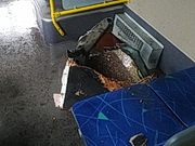 ��� ������ ����� �������� � ������ ���� ���������