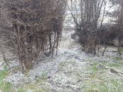 ������� � ������: � ���-������� ������ �����