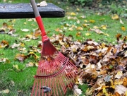 �������� ���� �� ����� ���������� � ����������� �������