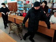 � ������������ ������� ���� ���� ������� ���� ���������