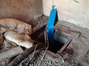 ������� �����, ������� ������ ���� �� ������� � ���������