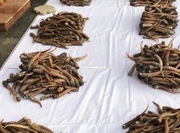 ��� ������ � �������� � ����������� ������ ����� � ������