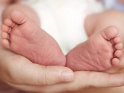 6-�������� ������� ��������� ������������� � ���������