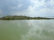 31 ������ ������� ������������ �� ����������� ����� � ������������� �������