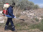 ������� ������ � ����� ������