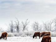 �� 8 ��������� ����� ������� ��� ������ ������������ �������