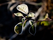 ��������� ��������� � ����������