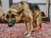 28 ��� ������ �� �������� ��������� � ���������