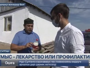  �� ������������� ����� � ������ � �������� �������� �������� �����