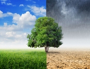 ���������� ���� � ������������ ������� �������� ���������