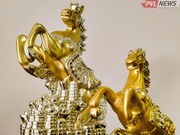 ������������ ��������� ��������� �� ������ �� �������