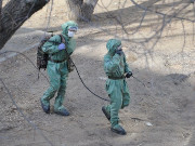 � ������������� �������� �������� ������������ ������� ������ ���������