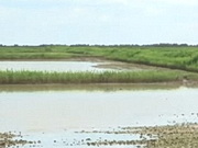 ������ ���� ��� ������� ������ � �������������� �������