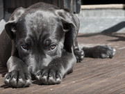 � �������� ������ �������� �������� ���������� ���������� �����