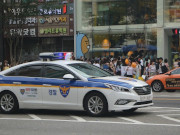 ���� ������������ ������� �� ������ � ����� ����� � ���