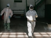 �� ���������� ������ �� ���������� ���������� ����