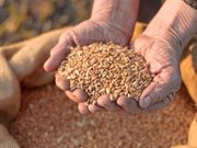 ����� �������� ������� ��������� ������� ��������� � ������� �����������