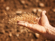 ���������, ������������ ������� ��� ���� ���� �������, �������