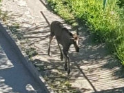 ����� ���� ����� �� ����� ��������