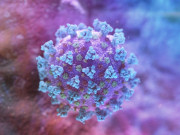 ������������ �������� ������� �� ������������