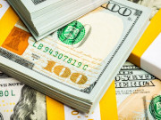 ������� ����������� ���� ������� �� 17 ����