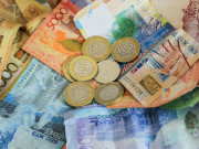 � ����� Birgemiz �������� �� ���������� �� ��������� �� �������� �����������