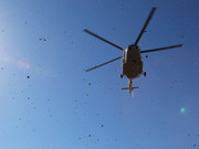 ��� ������ ���������� � ���� �������� ������� �� ����� �� ������ � ����������