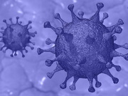 ���������� ������� COVID-19 � ���������� �������� 704