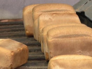 ���� ��������� ������������ ������ ����������� ���� �����