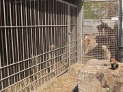 ������������ ��������� �������� ������ � ������