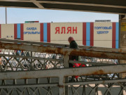 ���������� � �������� ��������� ����������������� � ������� ������