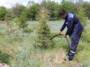 ������� ����� �������� �� ����� �������� � ������ � ���������, ���������� � �������