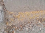 ���������� ������ � ������: ��������� �������� �� ������