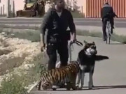 ������� � ��������� �� ������� ����� �� ����� � �����