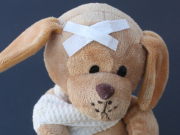 �������� ������� � �����: ������������ ������������ �� ������������ � �������