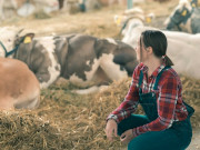 �� ������������ �������� ����������� ���������� � ����������