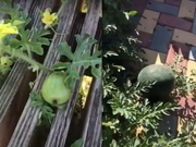 �������� �� ������ ������ ������� ������� �����