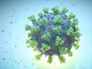 �������� ���������� ���� � �� ������ ������������ � ����������