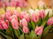 ���� �� ������������: ���������� �� 8 ����� ����� ������� � �������