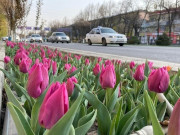 ������� ����, ��� � �����: �������� ����� ���������� � ��������