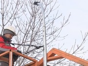 2,5 ������ ������� ��������� �� ����� ���� � ������������ ������