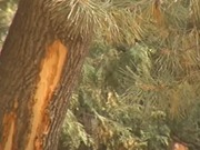 70 �������� ��������� � ����� 28 ����������� � ������