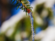 ������� ����� � ������ ��������� � ����������